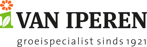 van-Iperen.png