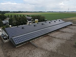 gerealiseerde agrarische zonnepaneleninstallatie van PV-Projecten